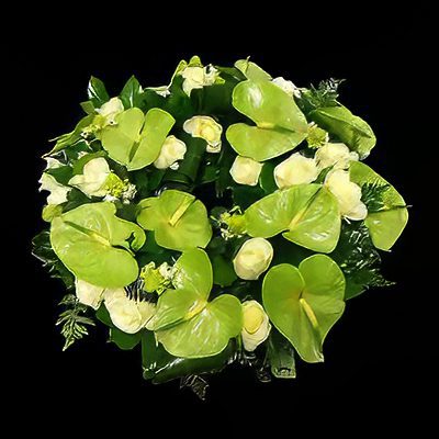 Anthurium si Trandafiri