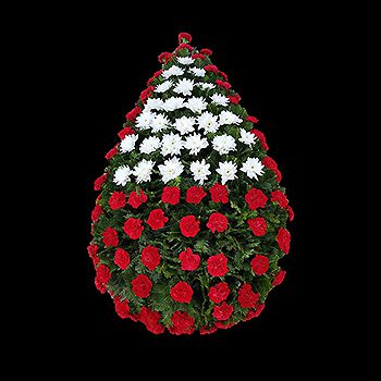 C03 (coroane funerare F24) - 80 de garoafe rosii, 25 de crizanteme olandeze albe.