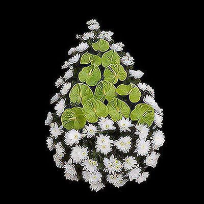 C05 - coroana funerara F24 din crizanteme si anthurium.