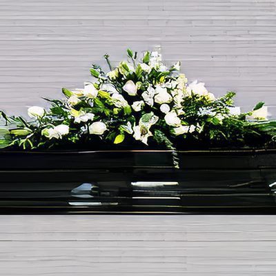 Flori albe proaspete de sezon F24.