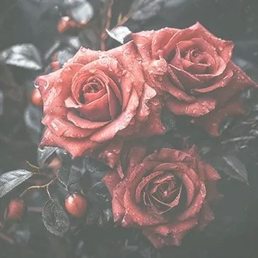 Floristica Funerara F24 Bucuresti.