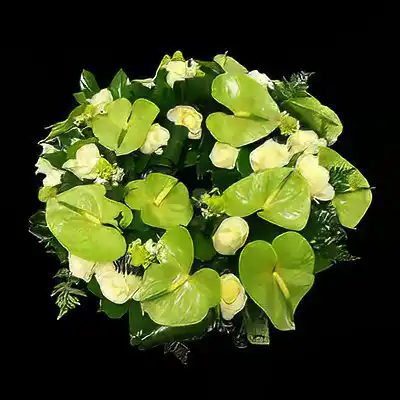 Anthurium si Trandafiri