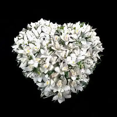 A04 - DOR - Aranjamente florale funerare F24
