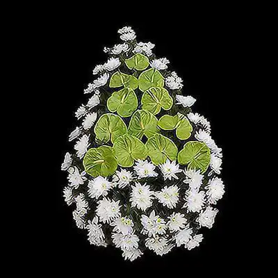 C05 - coroana funerara F24 din crizanteme si anthurium.