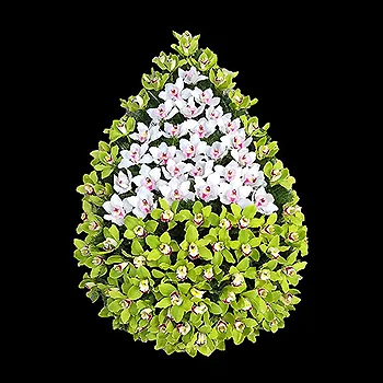 C09 - coroana funerara F24 Bucuresti din orhidee verzi si albe.